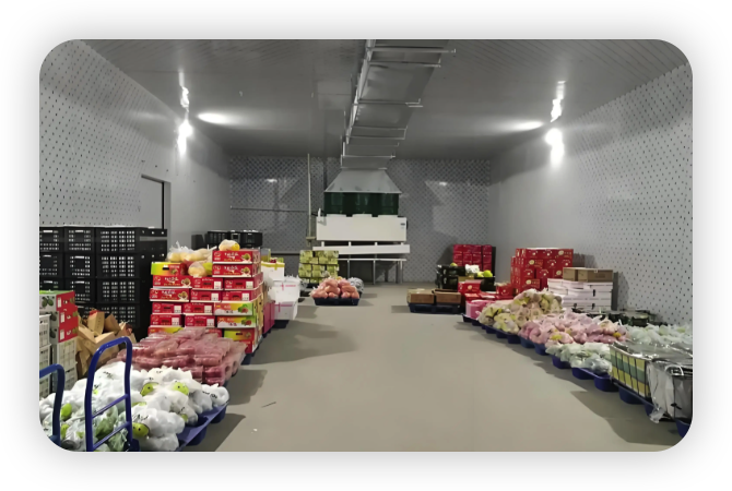 保鲜冷库安装方法及提升食品储存质量的关键步骤